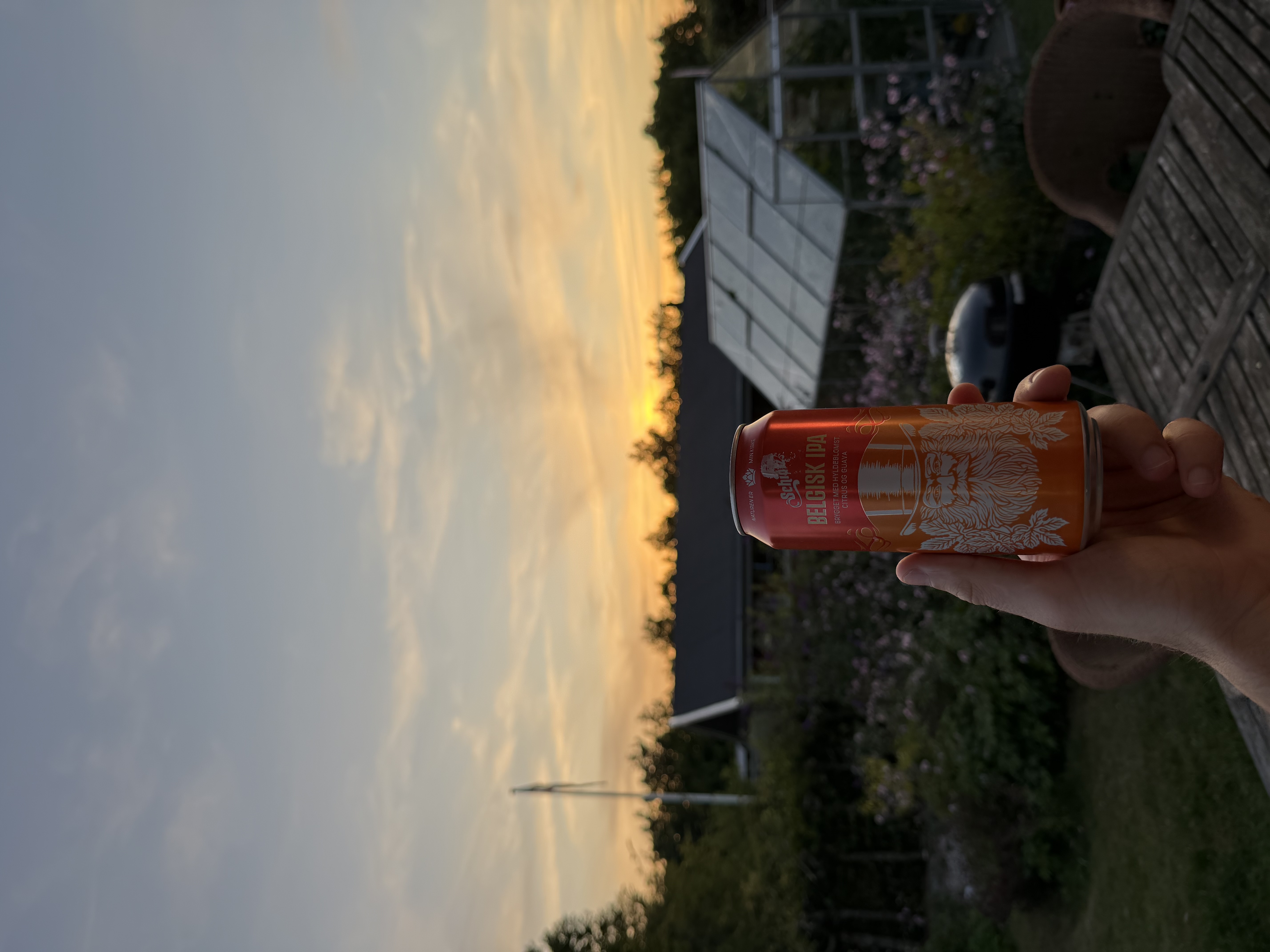 Belgisk IPA